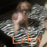 . Luka .