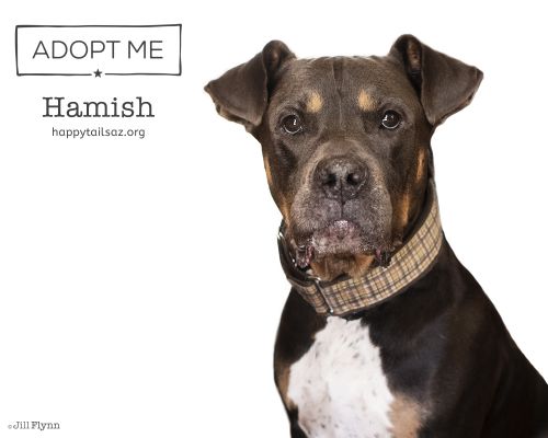 . Hamish .