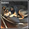 . Kalani .