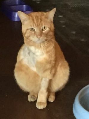 . Oscar .