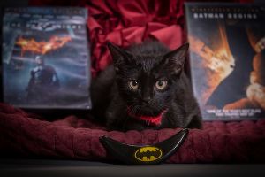 . Batman .