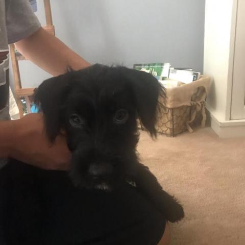 . Zoey .