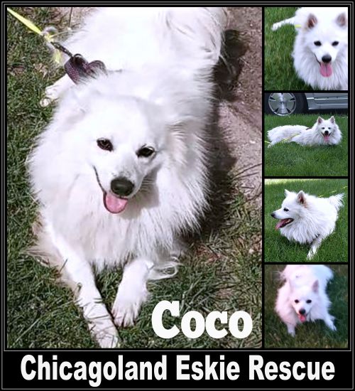 Coco
