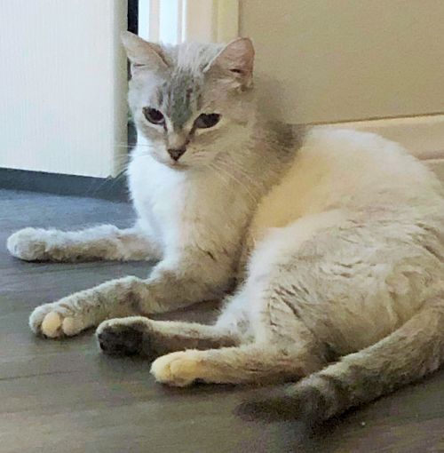 . Luna .