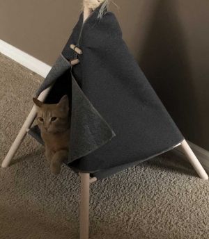 . Ravioli .