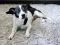 . URGENT! Clover - Watch my video! .