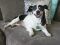 . URGENT! Clover - Watch my video! .