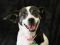 . URGENT! Clover - Watch my video! .