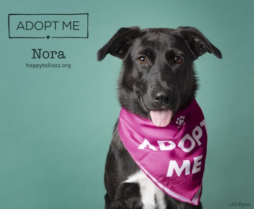 . Nora .