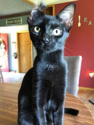 Photo of Binxy
