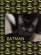 . Batman .