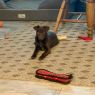 . Choco .