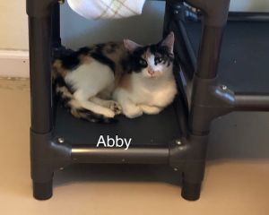 . Abby .