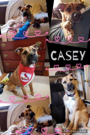 . Casey .