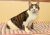. Kitty .