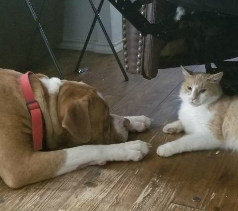 . Opie .