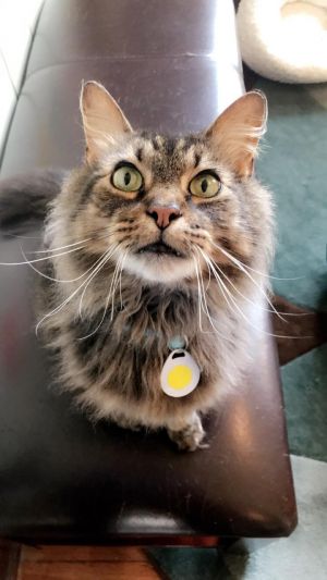 . Sam .