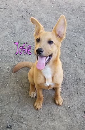 . Josie .