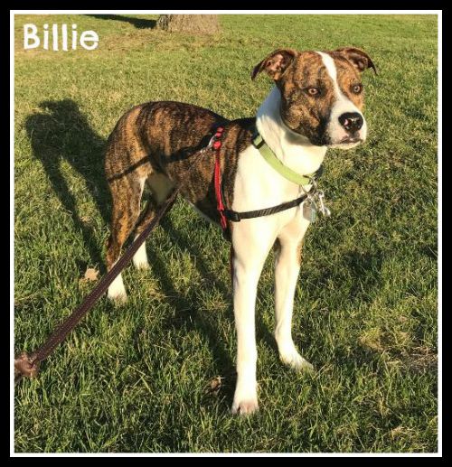 . Billie .