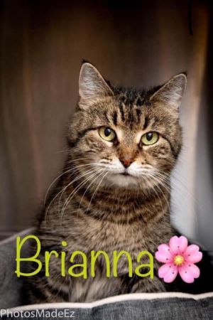 . Brianna - Senior .