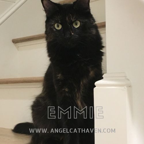 . Emmie .