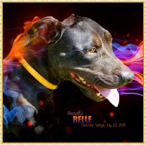 . Belle - Arriving on July 21st .