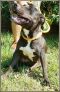 . Belle - Arriving on July 21st .