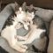 . Roscoe and Ella .