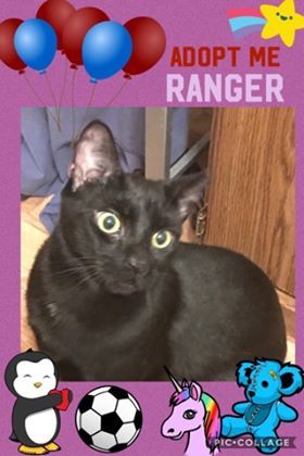 Photo of Ranger