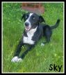 . Sky .