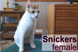 . Snickers .