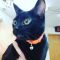 . Binx .