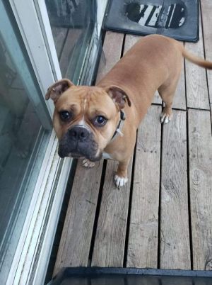 . Tyson .