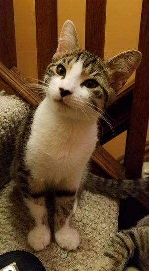 . Keebler .