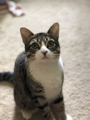 . Klondike .