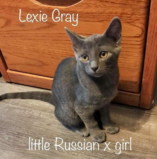 . Lexie .