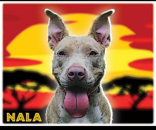 . Nala .