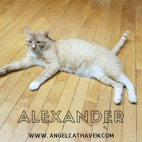 . Alexander .
