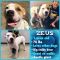 . Zeus .