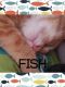 . Fish .