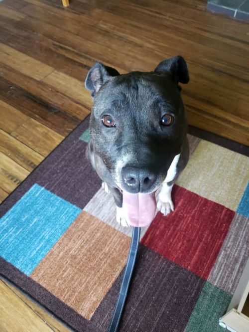 Photo of Hawkeye