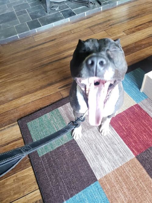 Photo of Hawkeye