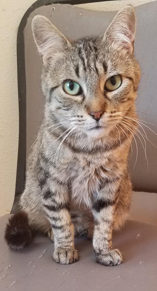 . Chloe .