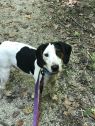 . Dottie .