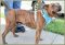 . Oliver - GREAT WITH CATS!! .