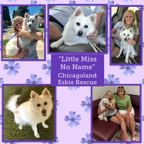 Little Missy