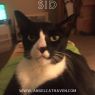 . Sid .