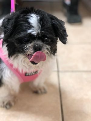 . Coco2 .