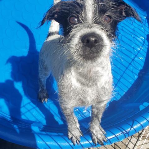 . Amlie .