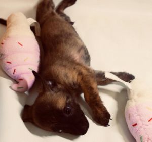 . Tiny .